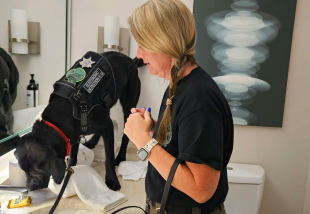 Electronic Detection Dogs in Training